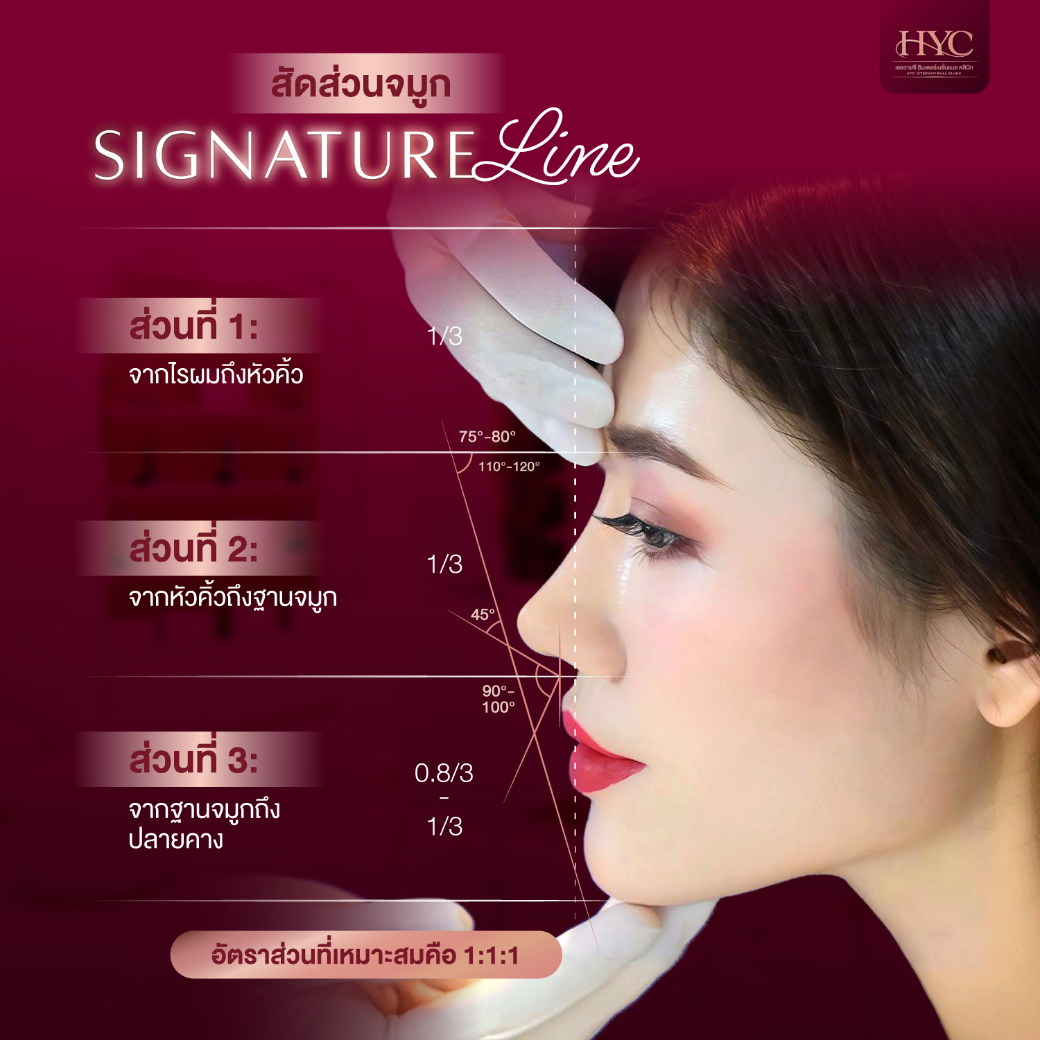 Aug2025-สัดส่วนจมูก